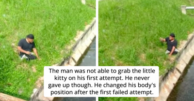 Incredibly Thoughtful Disabled Man Climbs Out Of His Wheelchair And Saves A Kitten From Drowning