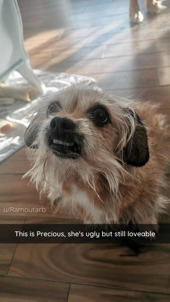 9. Precious is an obviously appropriate name.