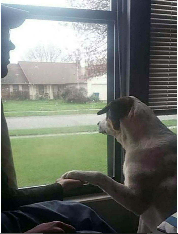 10. This service dog is trained to make people hold its paw when they are nervous.