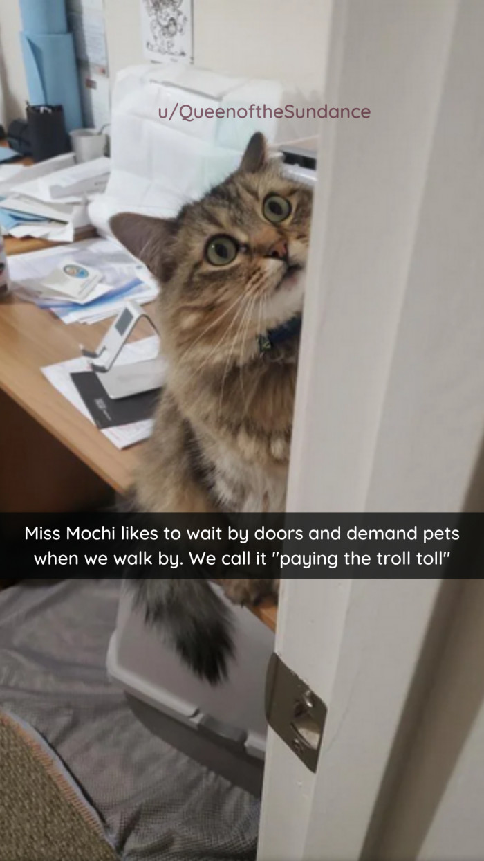 37. You must pay the toll.