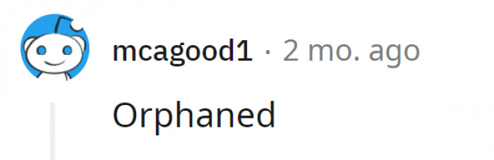 Since He Lost Two Parents, This Is the Quick and Easy Term.