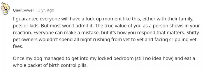 Accidents can happen, but you have to admit your fault and be honest so the vets can help.