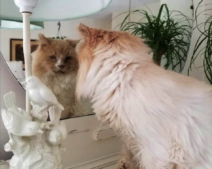 “Half of his teeth were missing,” the MRFRS said.