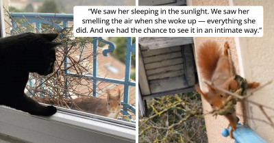 Squirrel Decides to Start Family Outside of Couple's Window, Blessing Them with the Best View