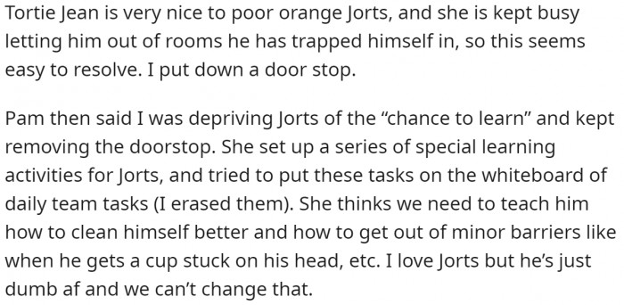 Jean is a helpful cat whereas Jorts cannot even help himself