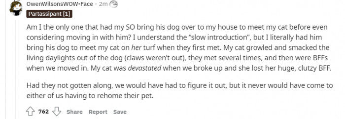 This commenter is saying how they introduce pets before moving in together. I'd say this is a smart move.