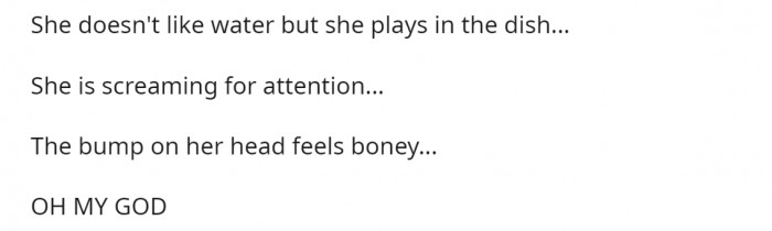 And then it all started coming together...