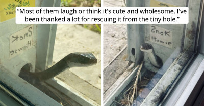 Woman Finds A Snake Who Made Home In Her Screen Door And Instead Of Chasing It Away - They Become Friends