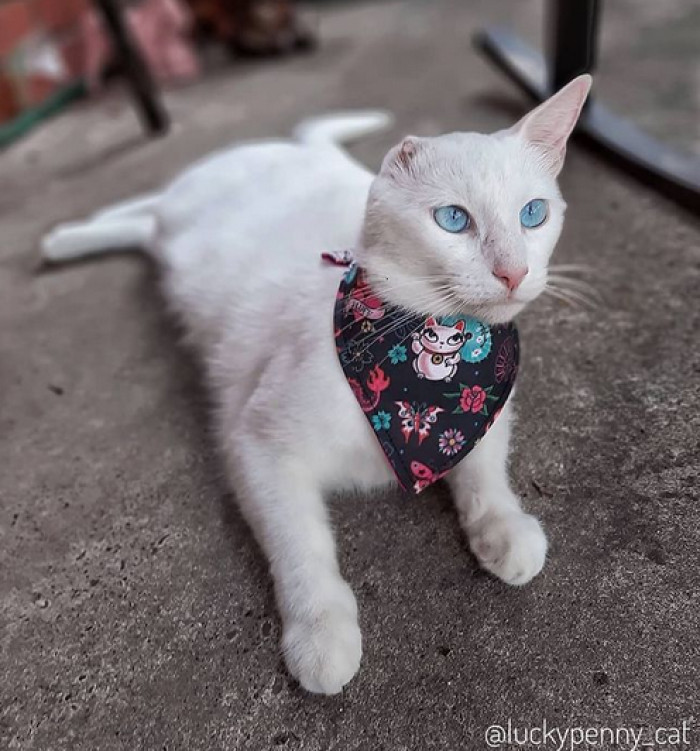 And gets plenty of tasty treats: