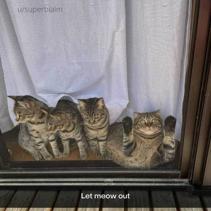 1. There's always one.