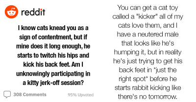 Cat Owners Share Some Absolutely Hilarious Experiences Of Their Cat Kneads Becoming A Little Too X-Rated