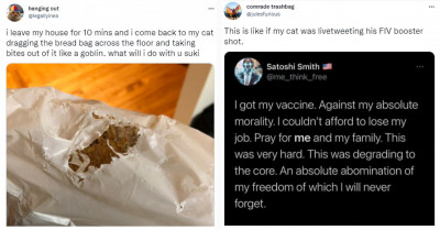 20+ Funniest Dog and Cat-Related Tweets That Will Make Dog and Cat Lovers Laugh Out Loud