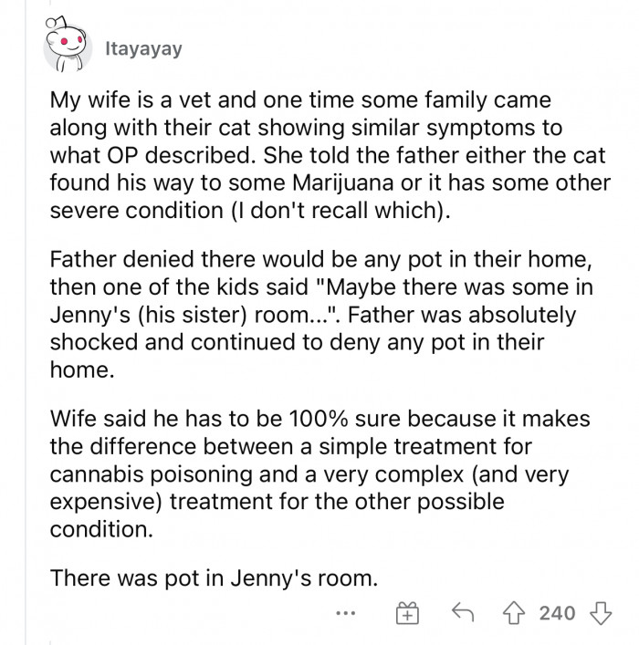 That’s when they discovered that Jenny likes to get high.