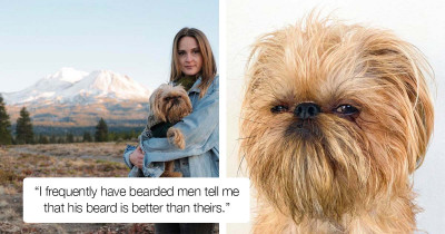 Bouche, A Grumpy Dog Who Became An Internet Celebrity Thanks To His Stink Eye