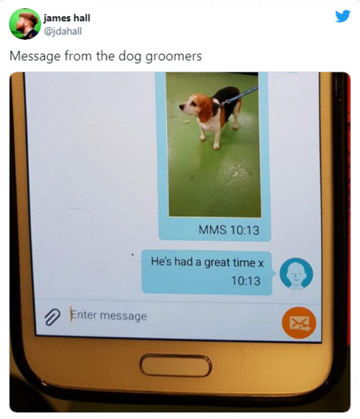 7. "Message from the dog groomers."