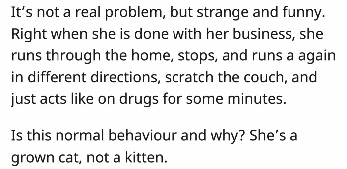 Like this Redditor's cat, who acts like she's being chased by a hellhound after she's done pooping
