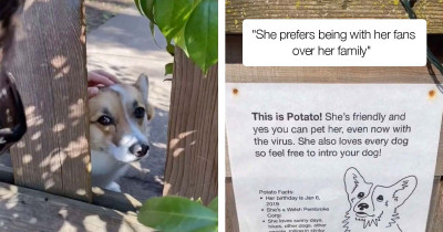 Dog Loves People So Much Her Family Put Up An Intro Sign For Her