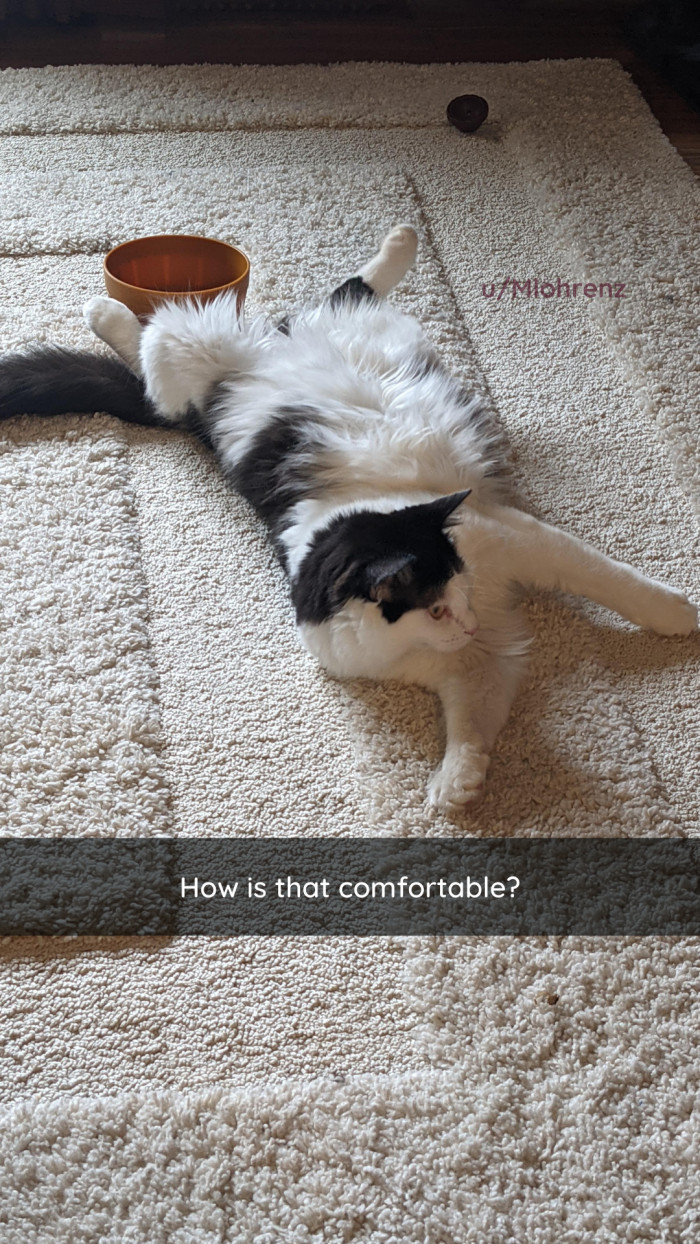 5. CONTORT for COMFORT