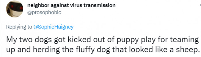 It's difficult to fault these puppies for what sounds like a basic case of mixed-up identity.