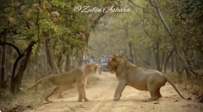 Driving the Point Home.