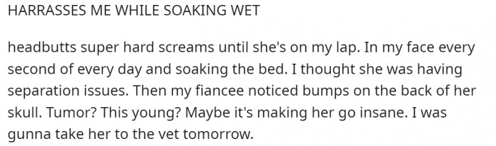 OP thought she was having separation issues, and then his fiancée noticed bumps on her head...