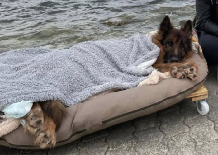 Hearing the sound of the sea in the winter silence