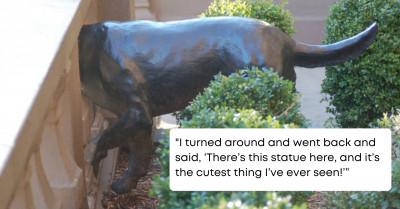 Mysterious Unconventional Statue Caught The Eye Of A Woman Passerby Who Digs Out The Amazing Story Behind It