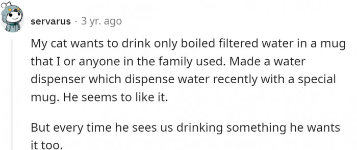 Or boiled and filtered...