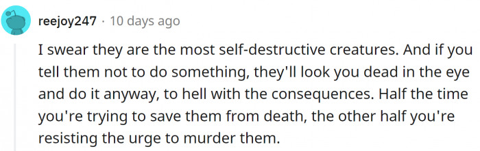 2. That about sums it up