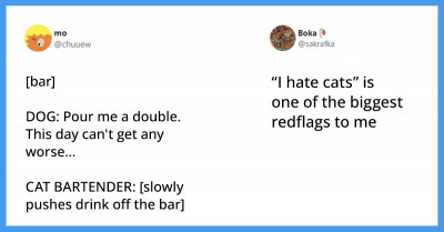 Dog And Cat Tweets For People Who Can't Get Enough Of These Always Adorable Pets