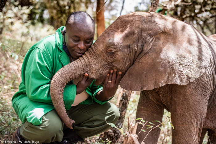 Their love and care allow the babies to feel safe
