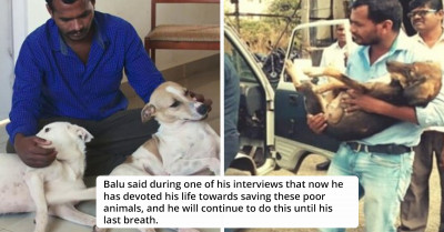 Man With A Golden Heart Buys Ambulance For Stray Animals