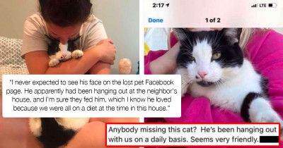 Woman Finds Out Through "Lost Pets" Pages That Her Grumpy Cat Has A Secret Life