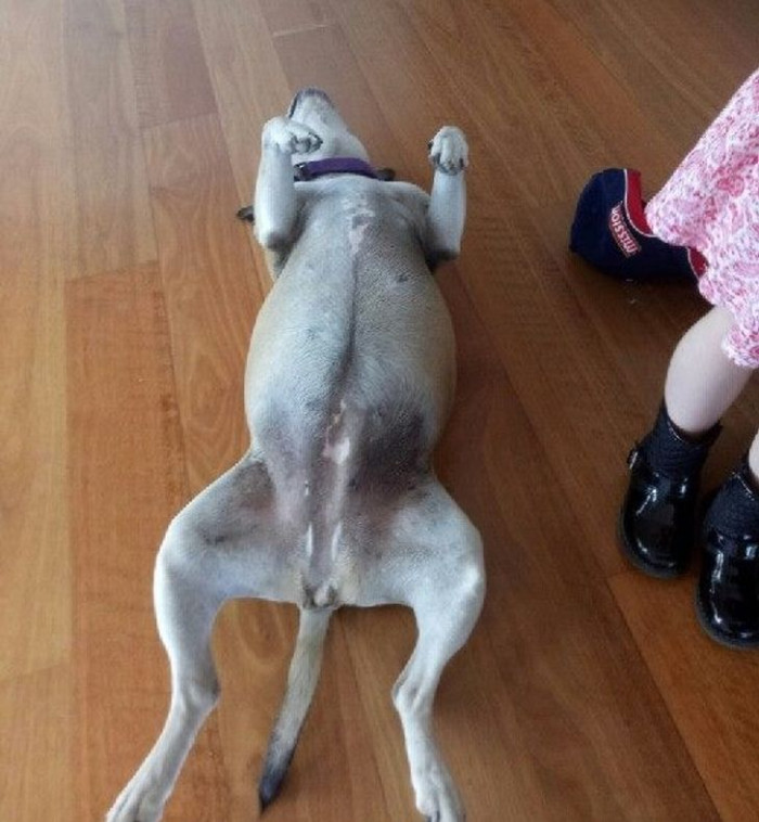 Woman cuddles a found cat, reunited after years of being missing