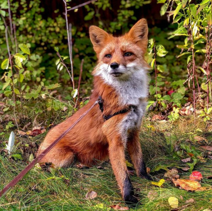 Papa's Clicking a Picture; Gotta Look Cool!