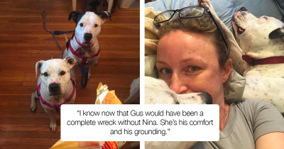 Nobody Wanted To Adopt This Bonded Pair Of Pitbulls, Instead They Only Wanted The Male