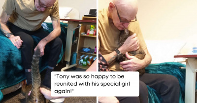 Sweet Cat Visited Her Former Owner At His Nursing Home For An Emotional Reunion