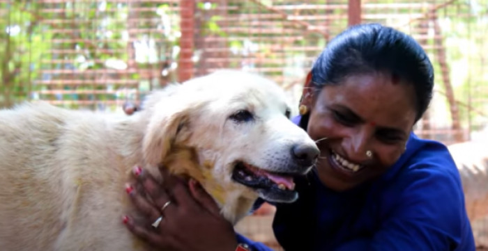 They were proud of Shabaash for his willingness and determination to heal.