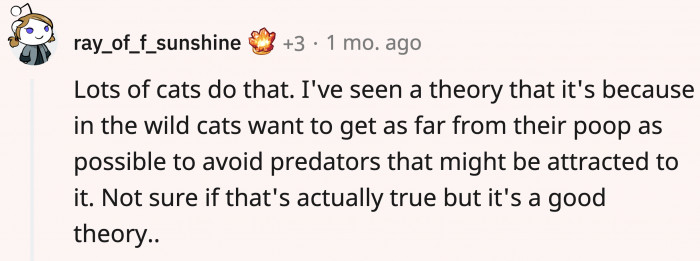 A potential explanation arose from the Reddit comments section