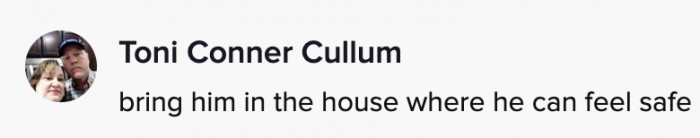 Sure, but is the house safer than the underside of the truck? Albus doesn't seem to agree.