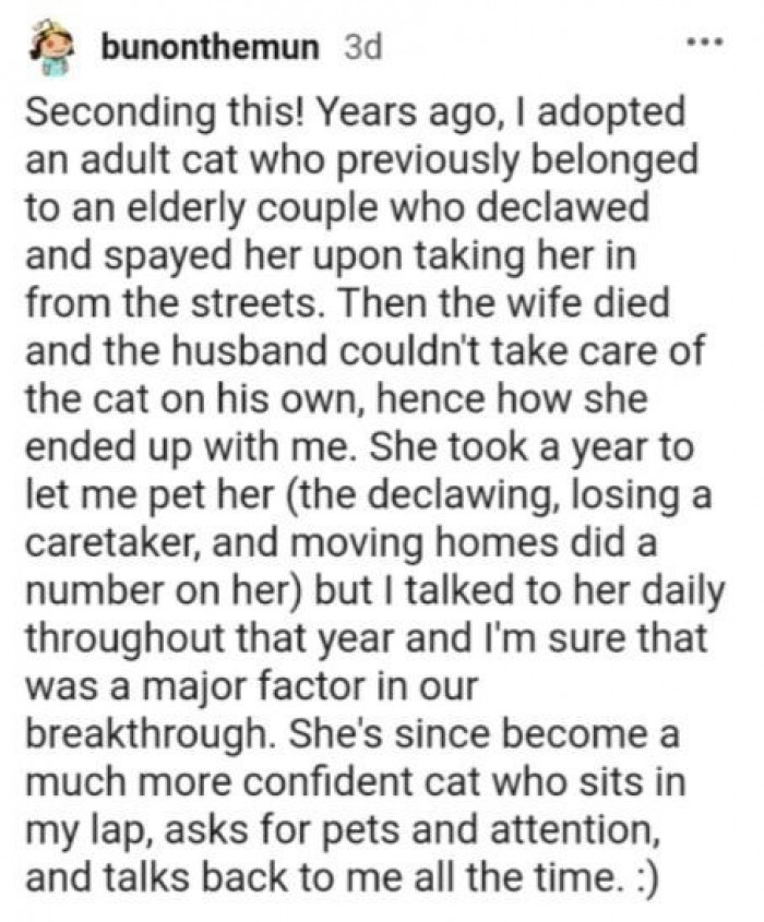 6. A lot of patience could go a long way, and this person certainly proves it with the kind of relationship they have with their cat now