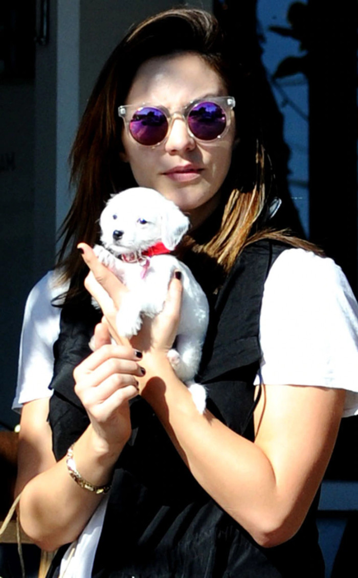 9. Katharine McPhee and her adopted little terrier mix puppy