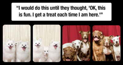 Adorable Photos Of Dogs In Photobooths Acting Like Humans
