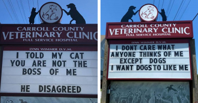 30 Times This Vet Clinic Turned Heads and Made People Smile With Their Witty Outdoor Signs