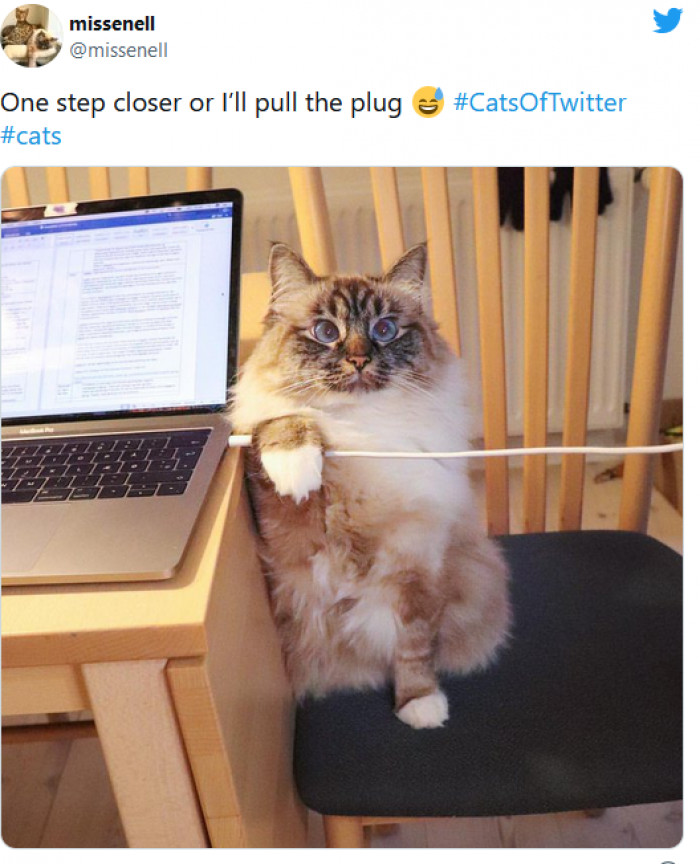 4. "Ignore me for your work for one more minute, and I'll do it!"