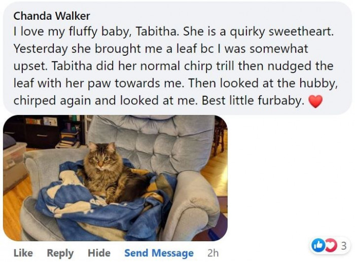 3. Meet Tabitha, my best little furbaby, who brings me a leaf when I'm upset and makes sure that I'm okay