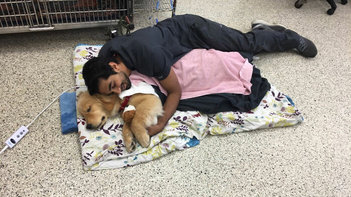 This vet got the memo that cuddling has a way to heal