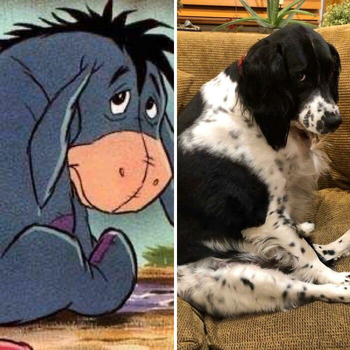 6. He pouts just like Eeyore