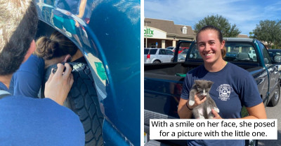 Firefighters Came To The Rescue Of Helpless Kittens