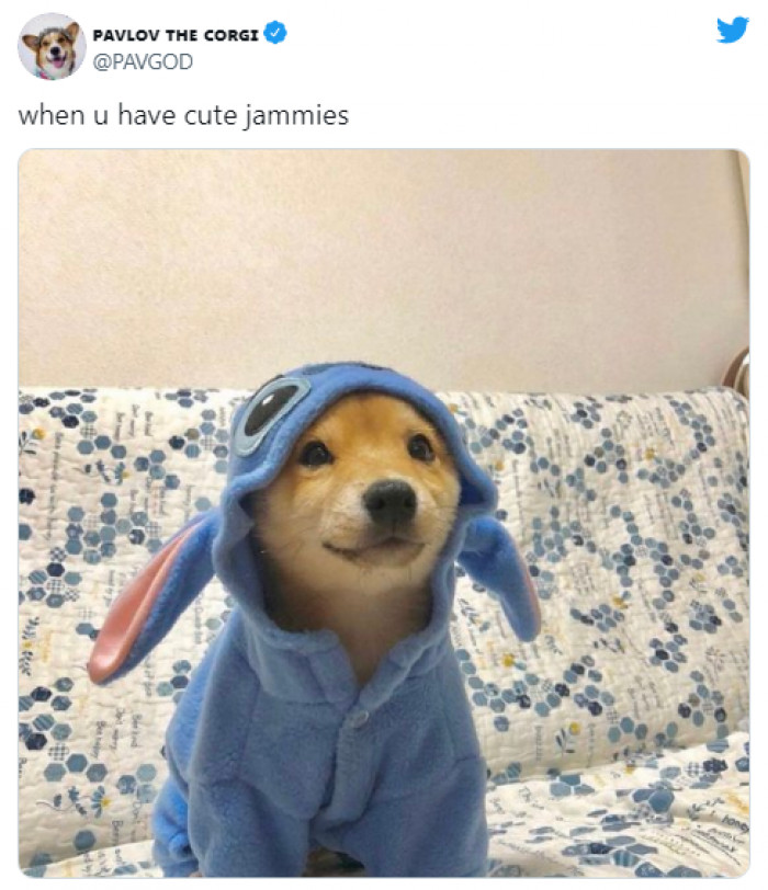 21. Trying out my cute jammies, like...